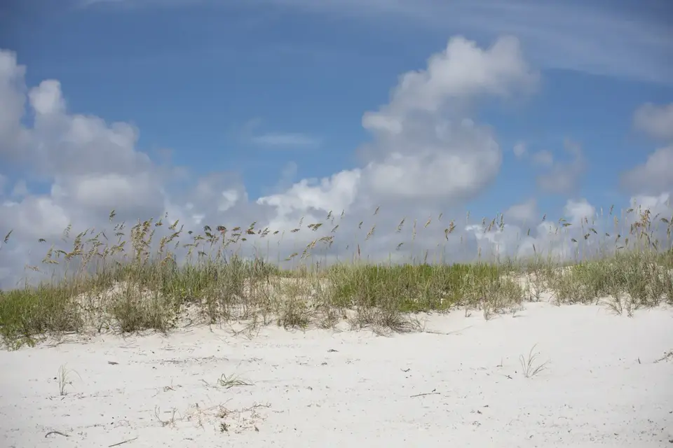 Sea oats on white dunes under a blue sky with high clouds